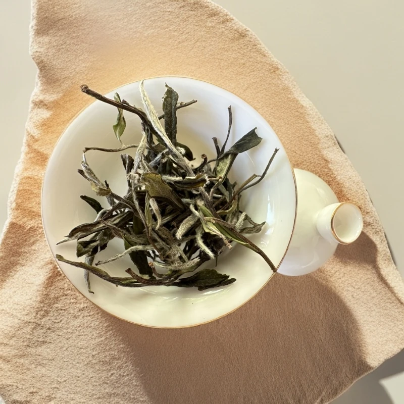 福鼎白茶.2024管阳荒野牡丹