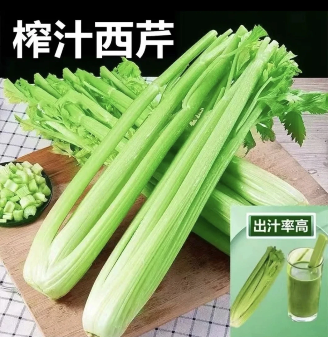 新鲜西芹山东原产地蔬菜基地直发现割现发榨汁健康3斤5斤精选直供