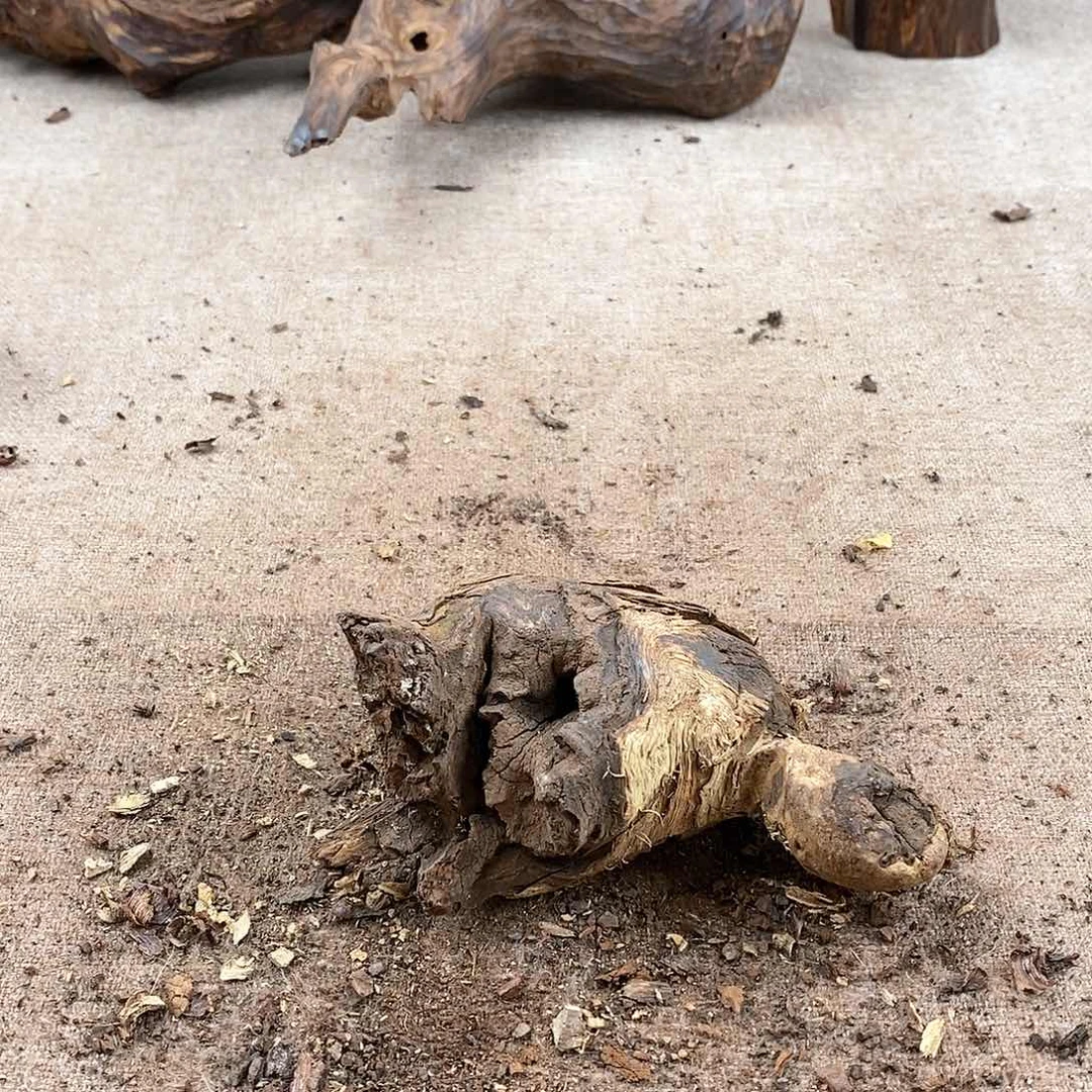 木A****9黄花梨随形料子