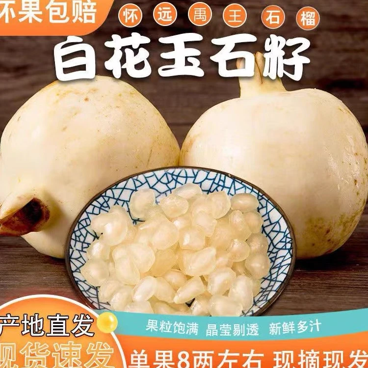 安徽怀远白花玉石籽石榴9斤净重含箱10斤中果