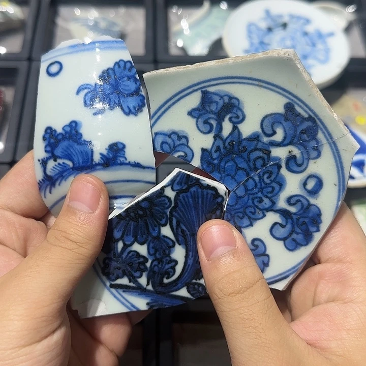 精品瓷片标本?***去精品瓷片标本