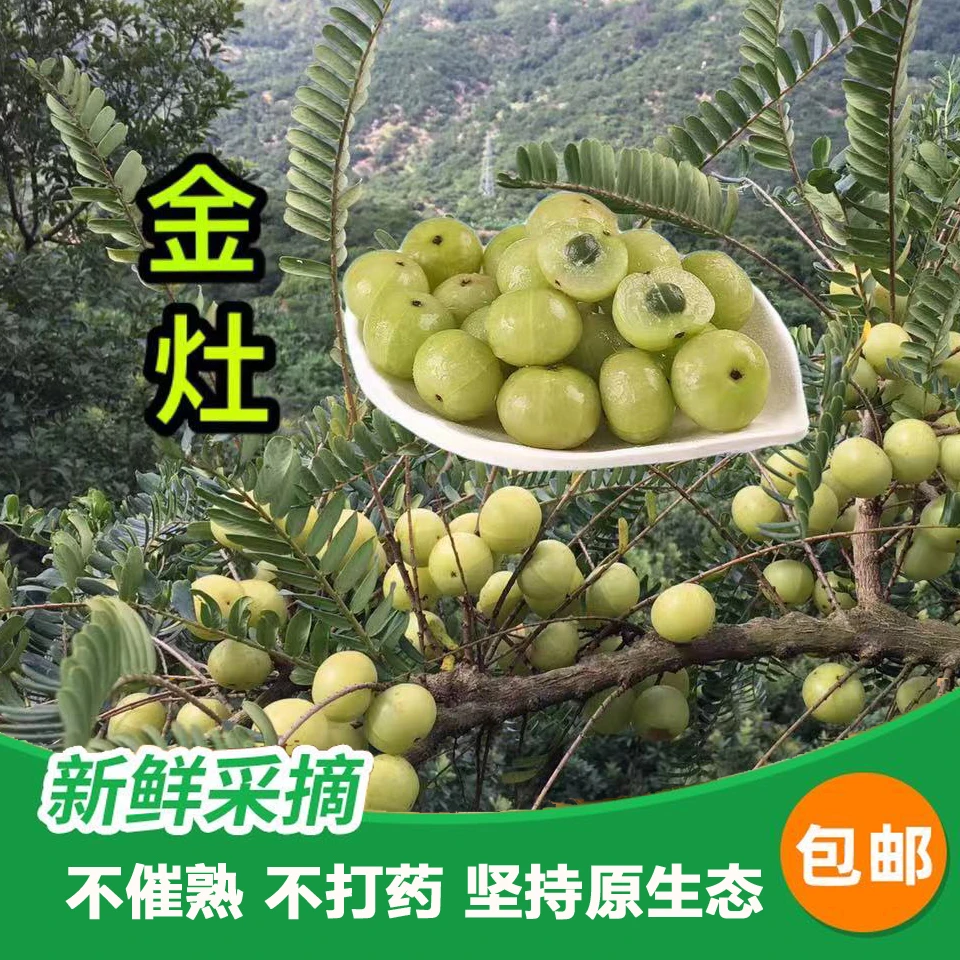 【特级油甘果】新鲜柿饼甜油甘果 崩坎甜偏甜 生吃榨汁解馋一斤装