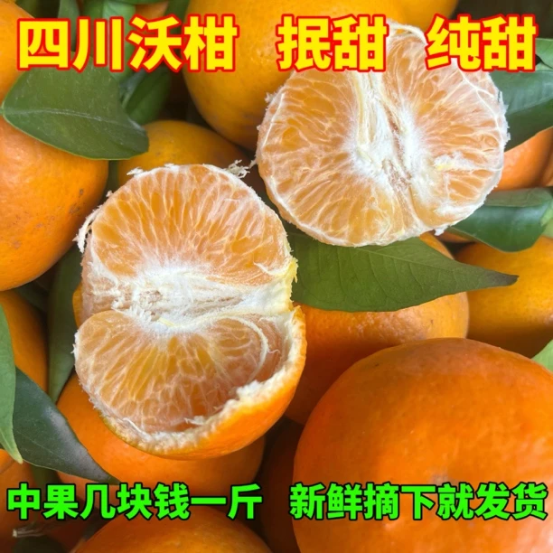 四川沃柑纯甜新鲜水果柑橘一箱*5斤中果