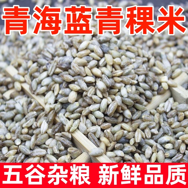 青海蓝青稞米特产营养石磨蓝青稞米五谷杂粮粥料粗粮饭麦仁米饭