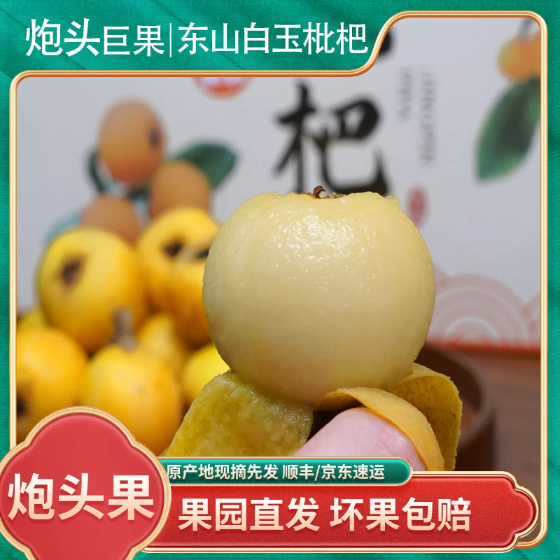 洞庭小娘鱼（炮头果）苏州东山白玉枇杷白沙琵琶3斤5斤新鲜礼盒果园
