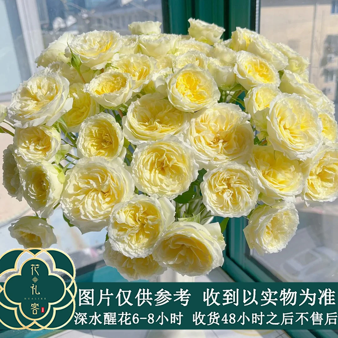 云花巷#多头玫瑰 【暖暖】鲜花优选 顺丰直发