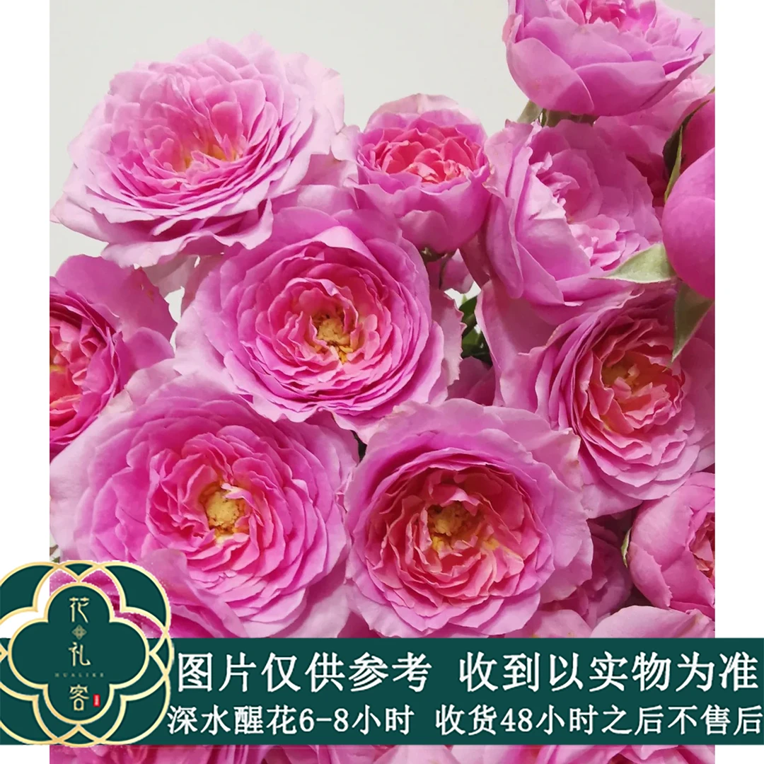 云花巷#多头玫瑰 【暗恋】鲜花优选 顺丰直发