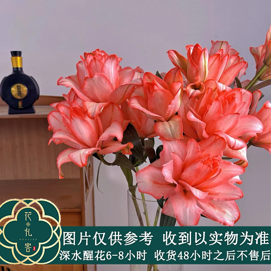 云花巷【三文鱼重瓣百合】鲜花优选顺丰基地直发