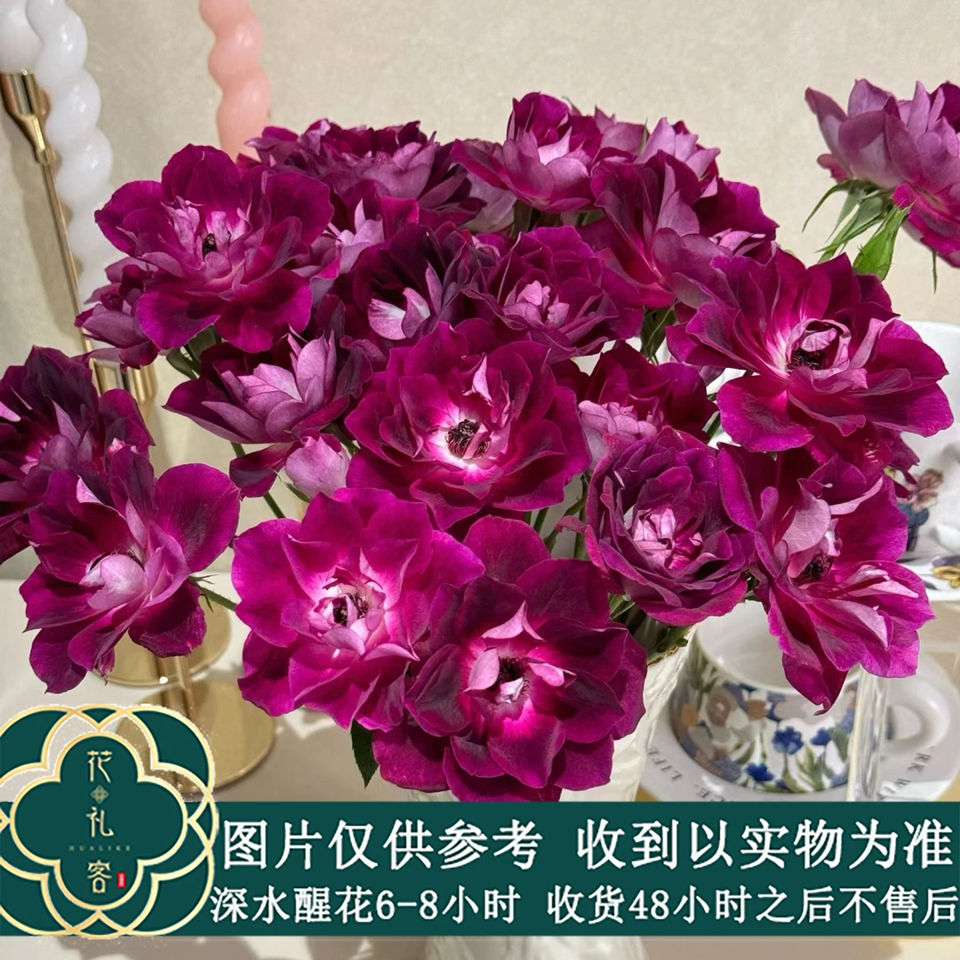 云花巷#【花物语-冰山系列】鲜花优选 顺丰直发
