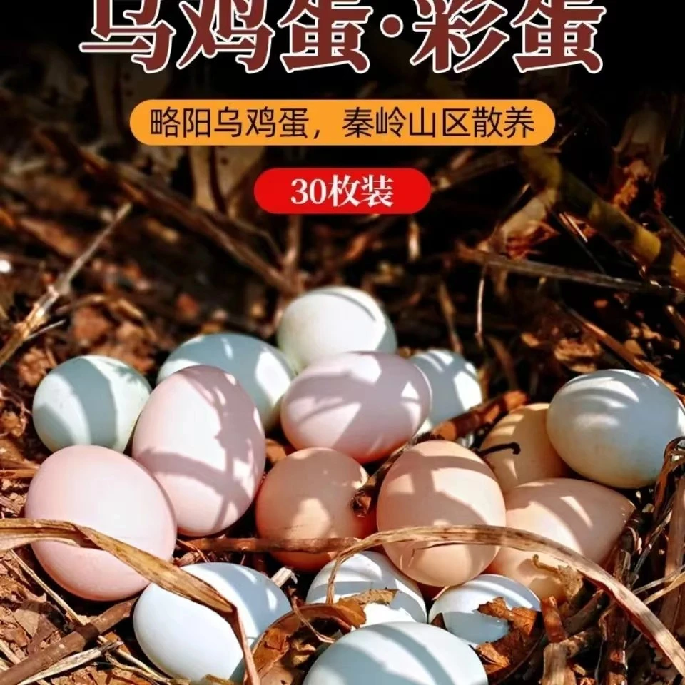 正宗农家散养土鸡蛋新鲜乌鸡蛋彩蛋 30枚