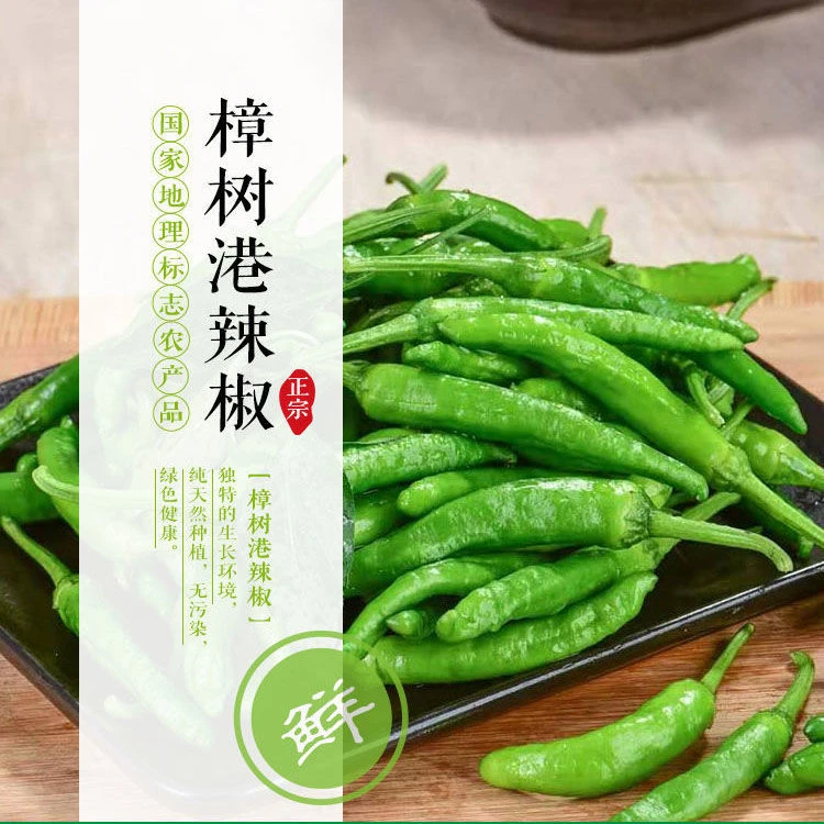 湖南风味正宗樟树港原产地脆嫩薄皮美味优质辣椒1/5斤装包邮