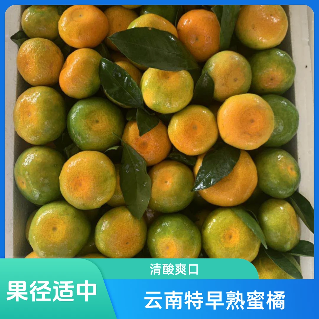 云南特早熟蜜橘青皮橘子整箱柑橘蜜桔当季新鲜水果酸甜多汁