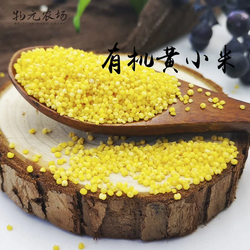 物元农场【双有机黄小米】400g新鲜金黄小颗粒熬粥东北杂粮健康甄选