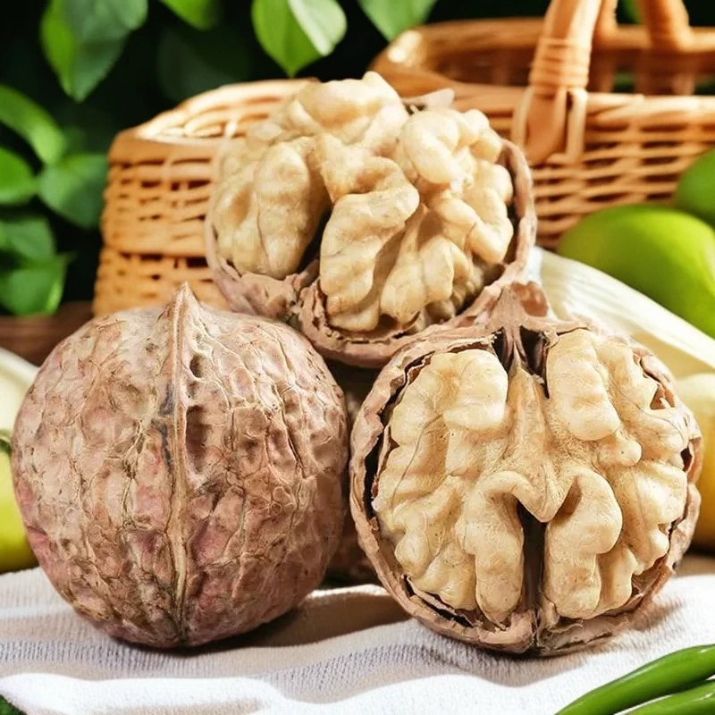 【山货研习社】土特产老树核桃