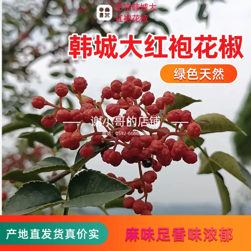 陕西韩城大红袍花椒250/500克麻味足便宜的贵的红花椒粒产地直发
