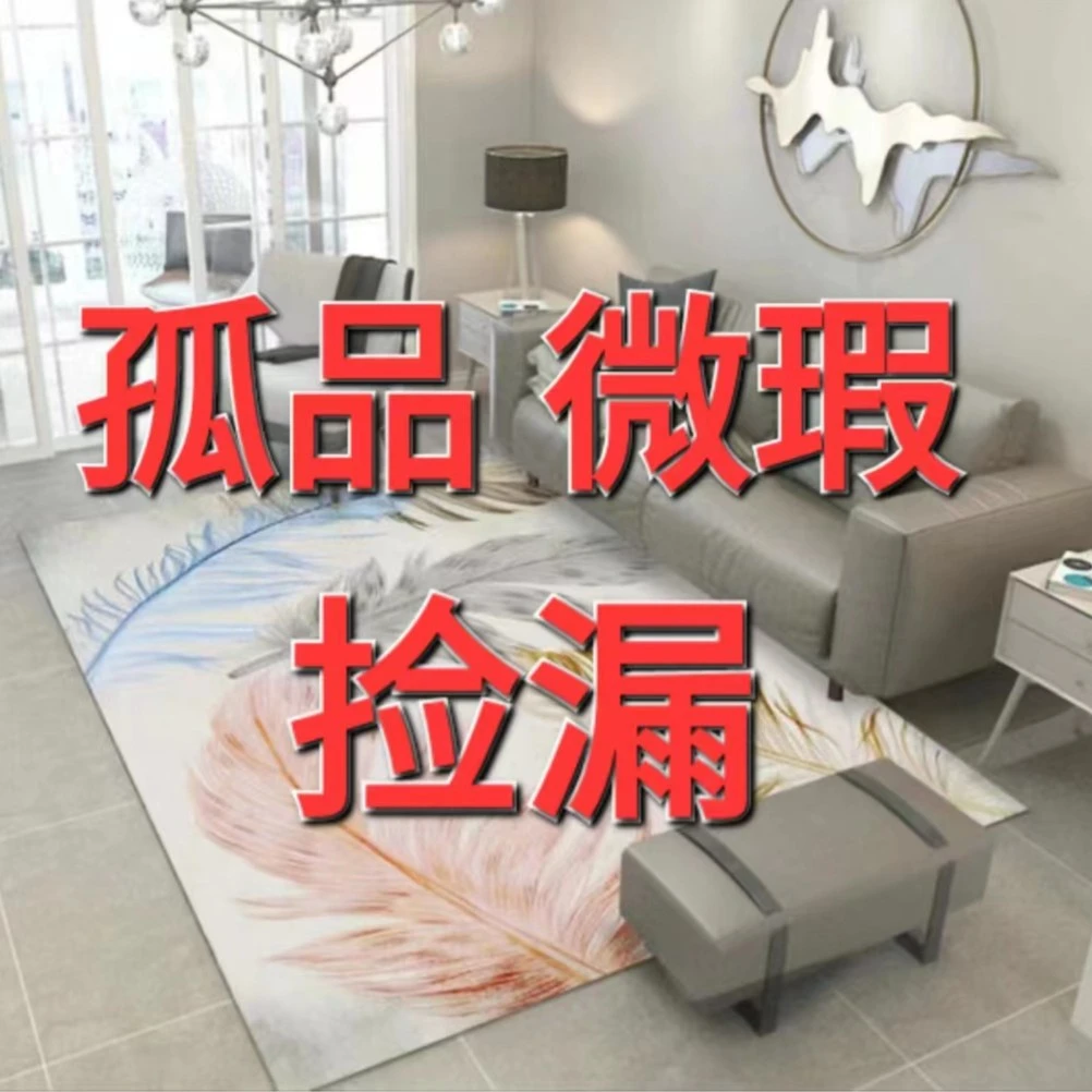 【孤品 一】出口尾货孤品捡漏地毯家用大面积客厅地毯卧室飘窗