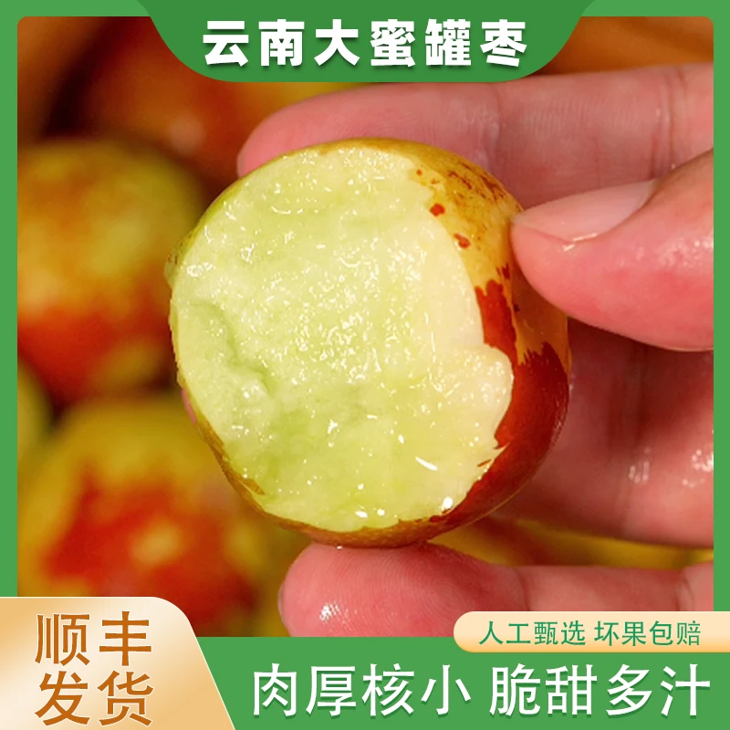 【顺丰】云南大蜜罐枣新鲜高山种植酥脆可口甜枣脆枣现摘现发2斤起