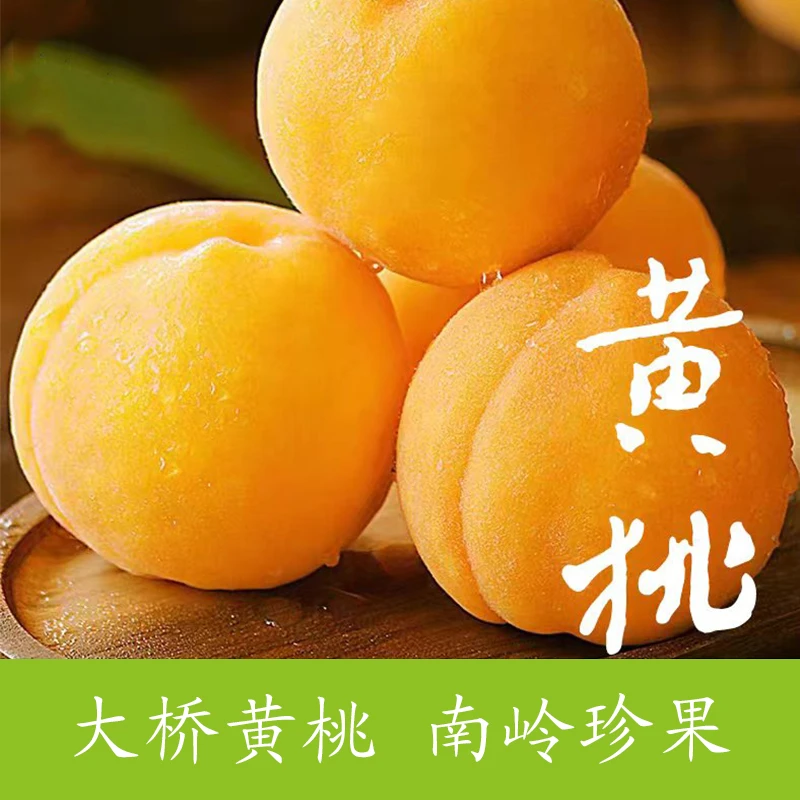 大桥青溪洞黄桃 乳源特产5斤/10斤装果园直发脆爽多汁套袋不打药