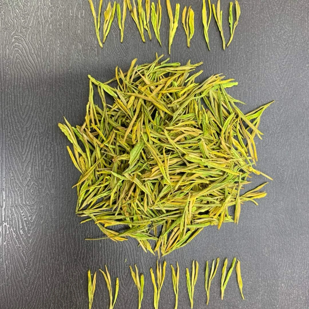 【临时奶白-10】2024年安吉溪龙叶尖香奶白皇金芽-播