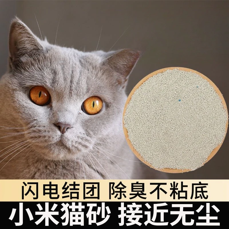 矿物质小米砂小颗粒室内锁味除臭防感染闪电成团不易散不沾底低尘
