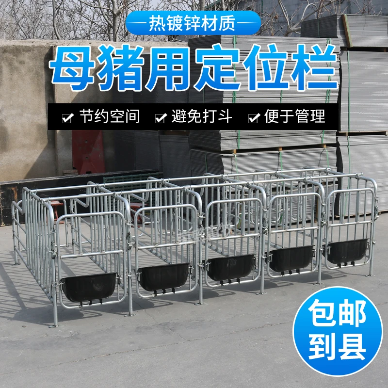 母猪定位栏10位加厚保育养猪产床落地式养殖场用设备猪围栏限位栏