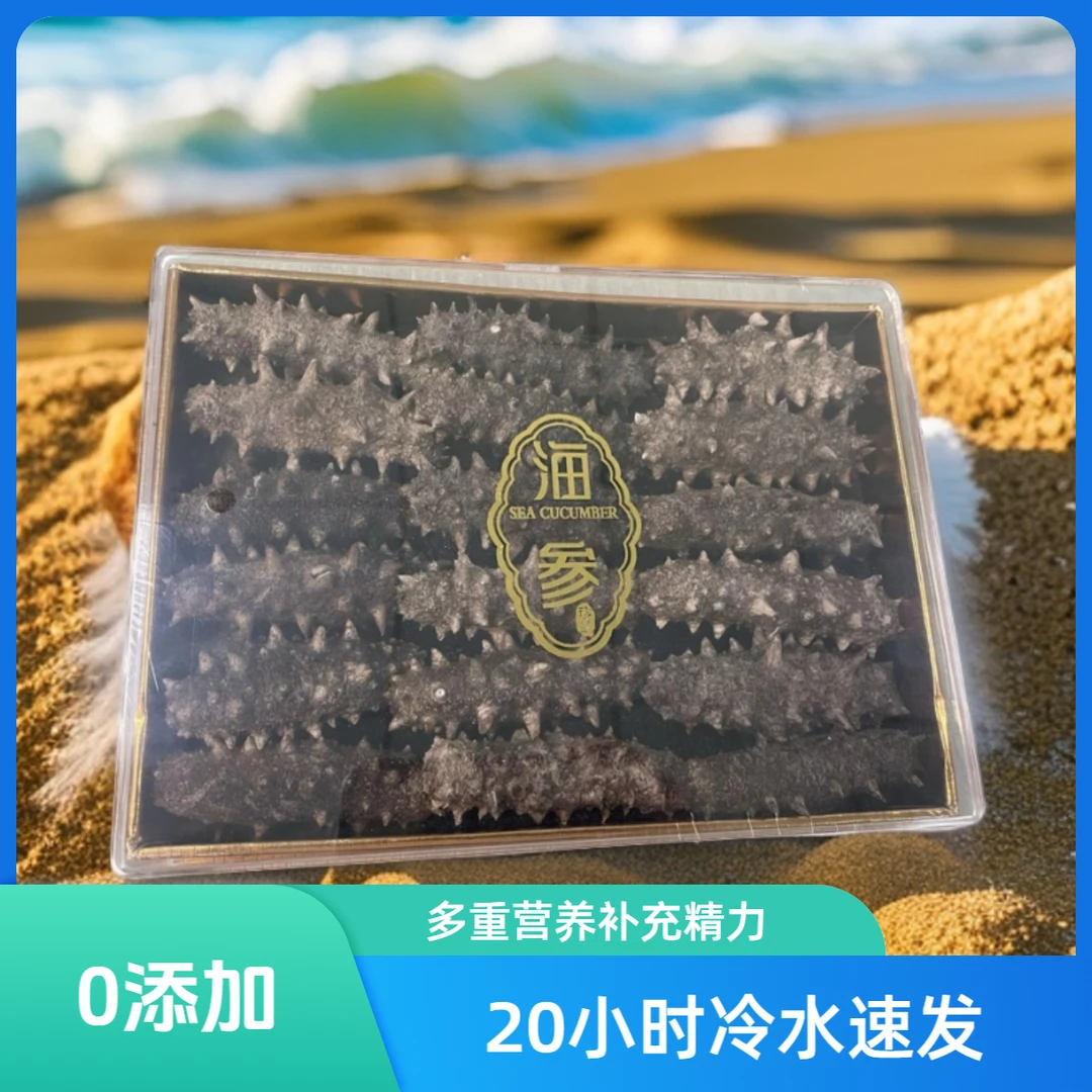 【冷水速发】高品质大连滋补营养0添加免煮速发正宗辽刺参