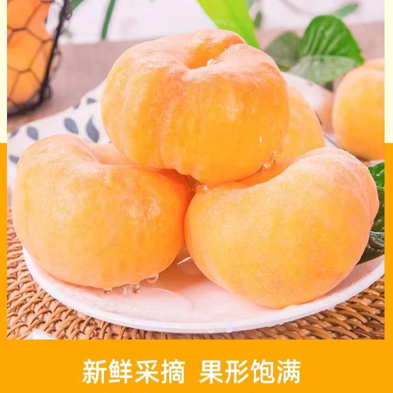 陕西黄金毛蟠桃脆甜多汁好吃1斤-3斤-4斤