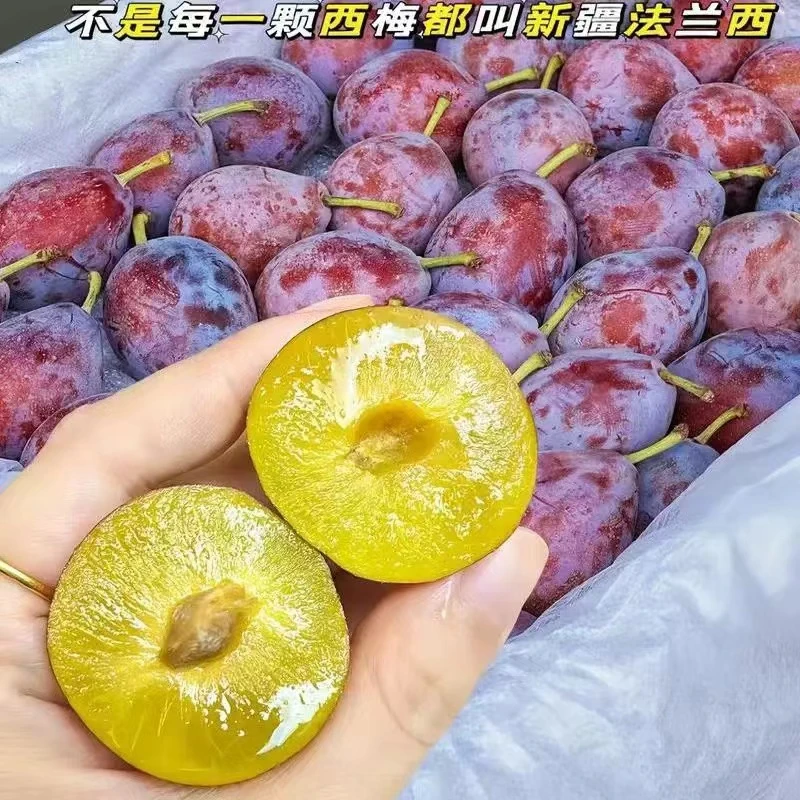 【达吾水果】精选西梅净重4斤
