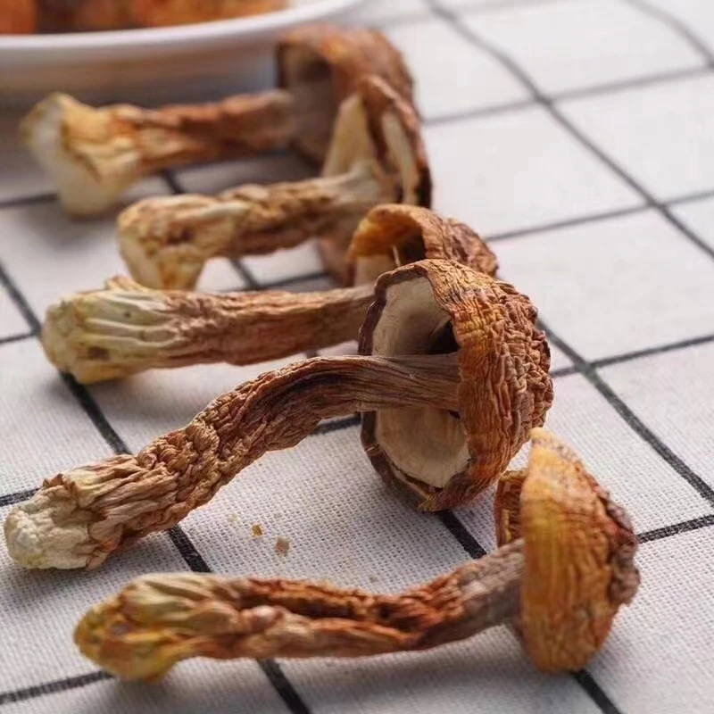 东北特产伊春初级农产品姬优质松茸蘑菇自然晾晒菌类250G 包邮