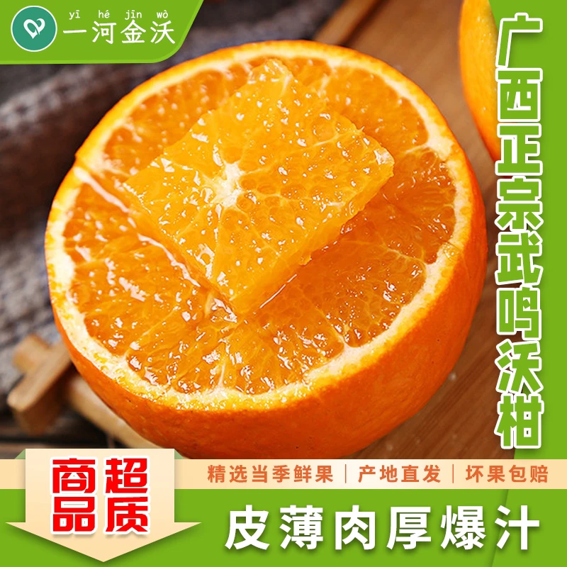 【沃柑】广西武鸣新鲜橘子鲜嫩营养肉厚饱满果味浓郁5斤8斤装包邮