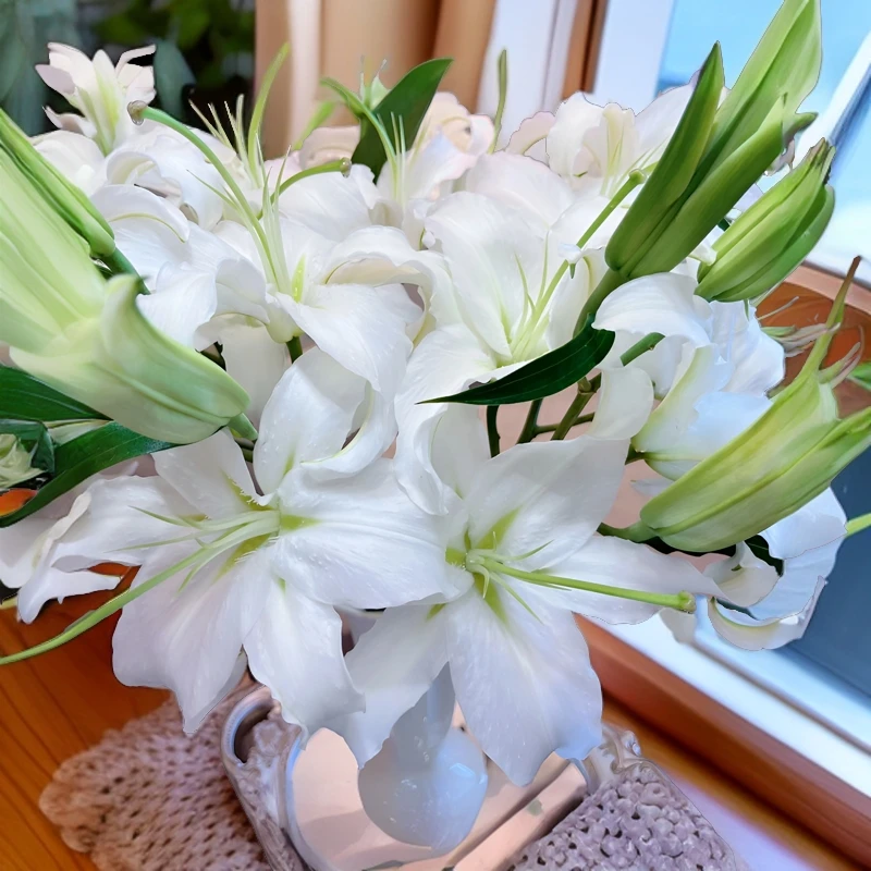 【秦农优汇】基地自产西伯利亚百合双头及以上 5枝任意2单顺丰包邮