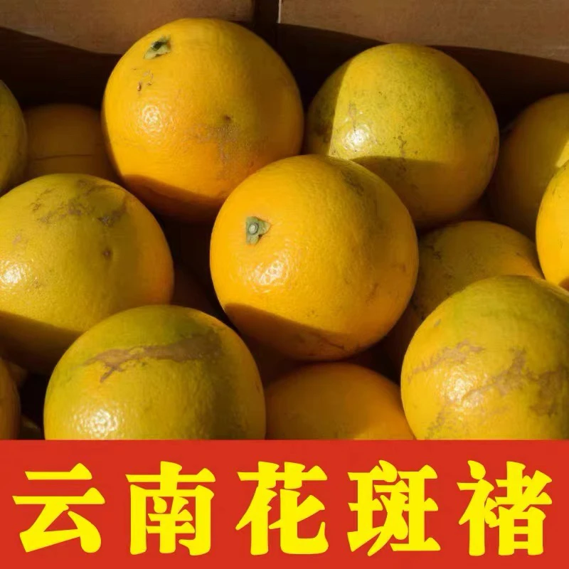 云南玉溪哀牢山老树花皮冰糖橙 花斑果 皮薄花斑 净重5公斤