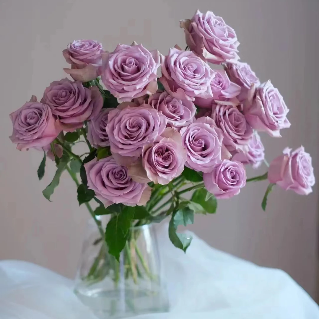 【860】玫瑰鲜花组合 一单中通 拍两单发顺丰 已发货不支持退款