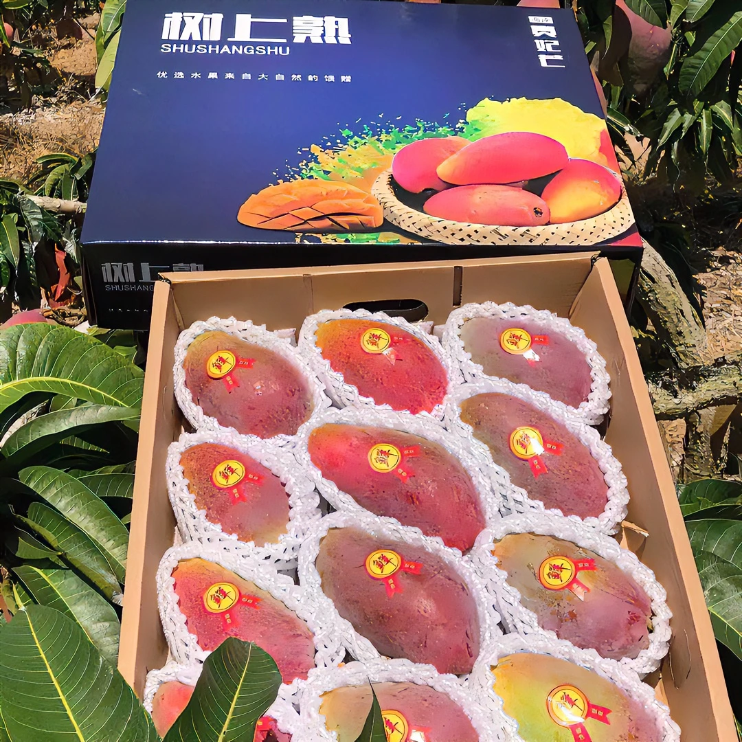 三亚树上自然熟贵妃芒果净重5斤带箱6.4斤签收即食