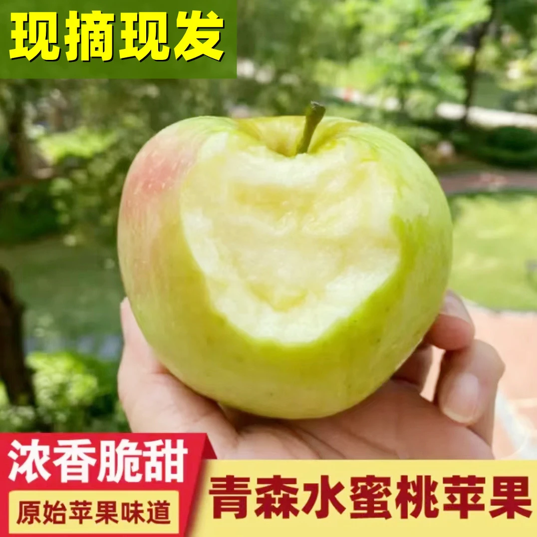 纯甜无酸 2023头茬青森王林苹果  精品包装 现采现摘产地直发