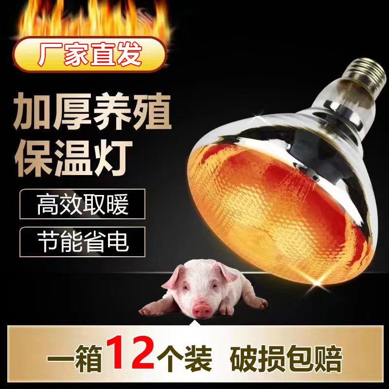 养殖场保温灯产床小猪加热取暖灯泡加厚麻面鸡鸭鹅防水防爆等灯泡