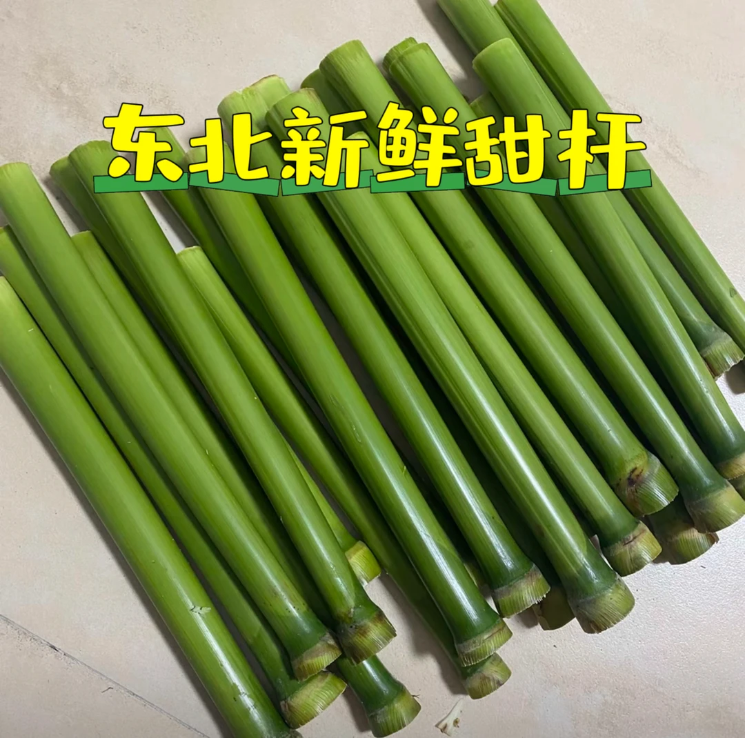 顺丰东北新鲜甜杆清甜多汁高粱秆小甘蔗甜芦栗现砍3斤5斤包邮