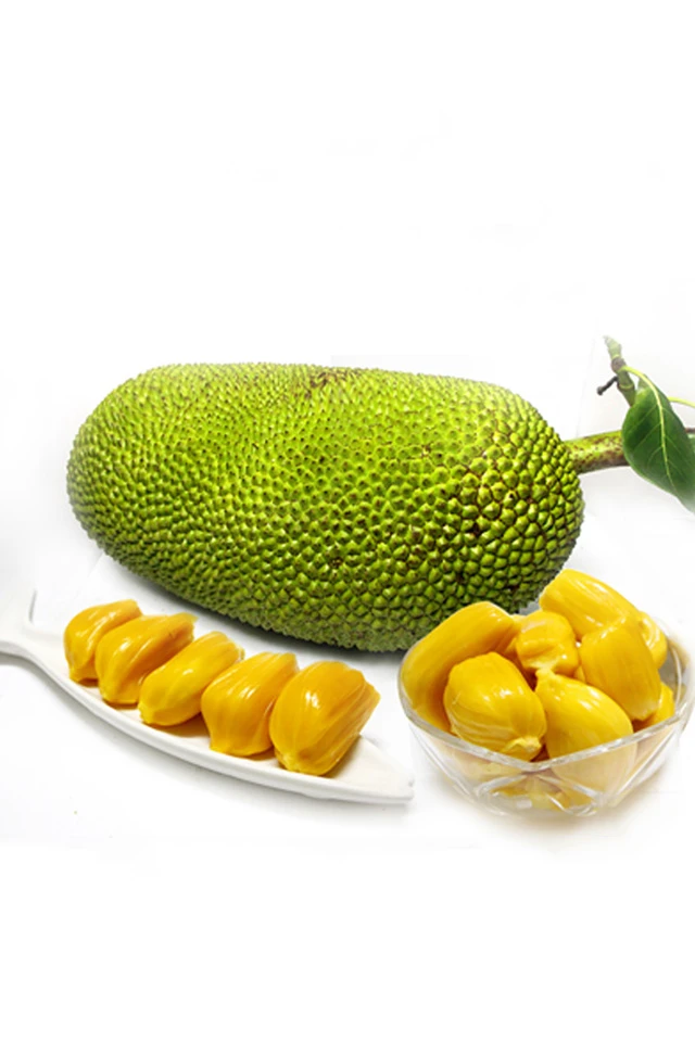 水果芝家优选 菠萝蜜大果2.99元一斤