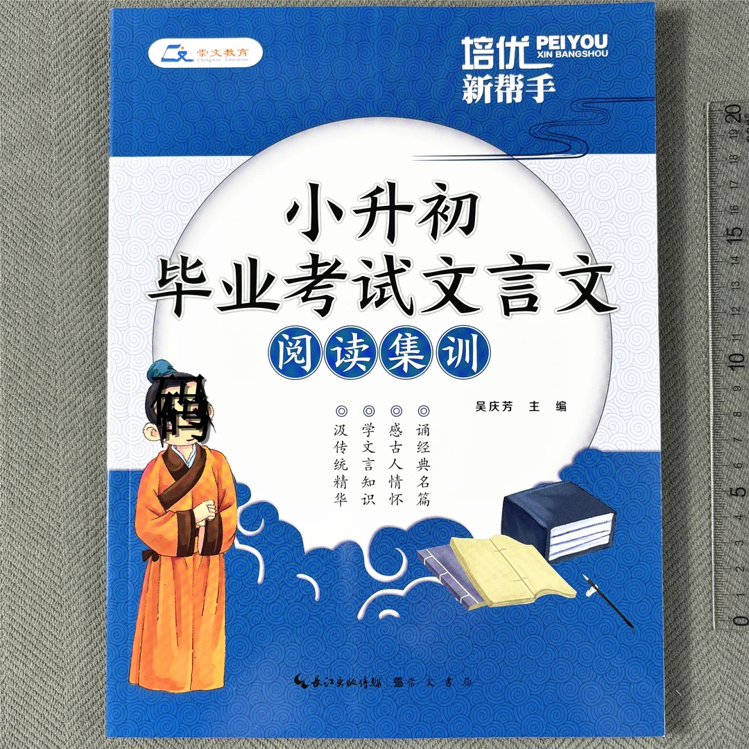 小升初毕业考试文言文阅读集训真题演练五六年级文言文阅读理解