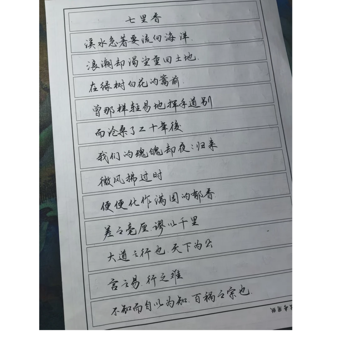 一沐老师直播手稿12张（不支持退换货，介意慎拍）