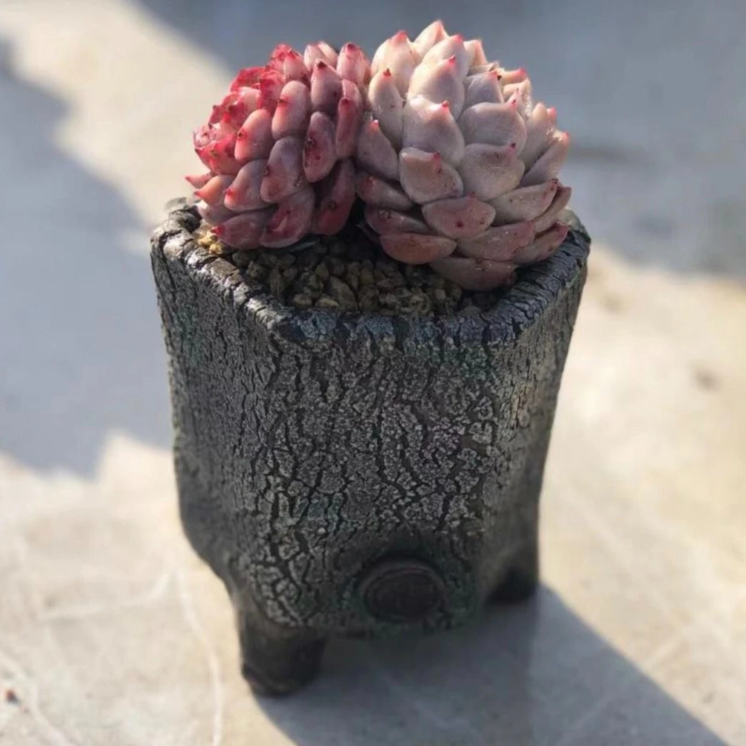 醉泥小六边形花盆内口6.5至7左右