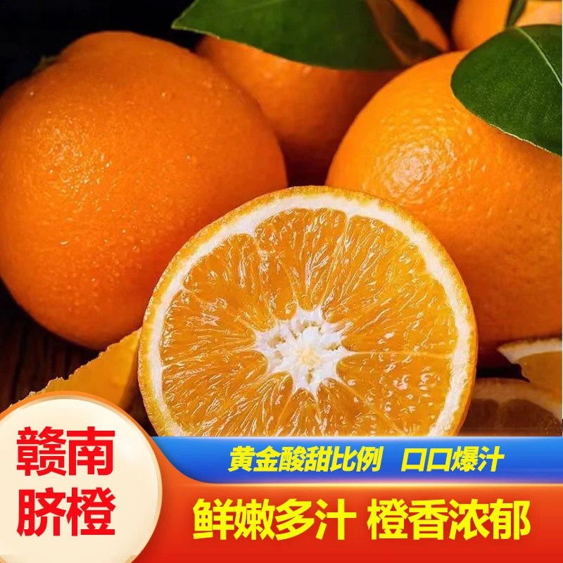 赣南脐橙4.5斤/9斤新鲜采摘 正宗江西橙子清甜多汁产地直发