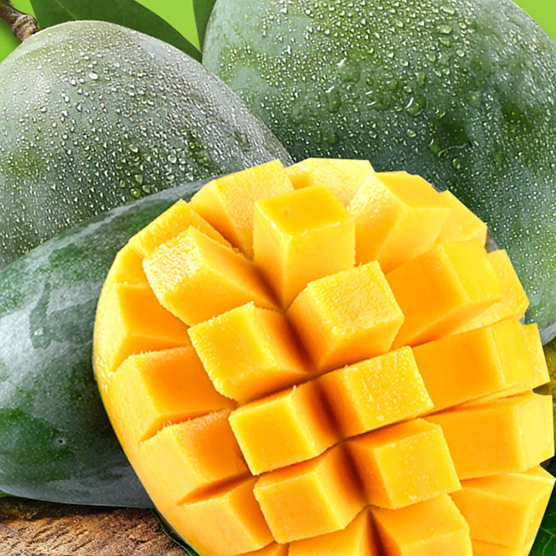 【可可姐宠粉】四川攀枝花凯特芒果多汁产地直发净重5斤