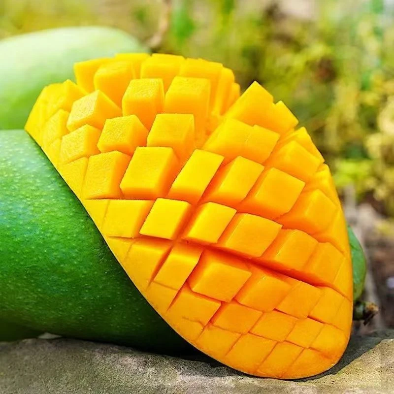 云南香甜多汁肉质饱满生鲜水果凯特芒新鲜