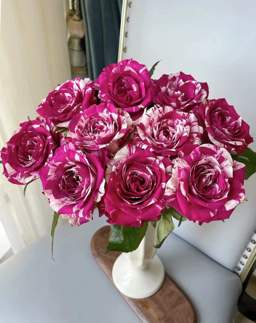 【陌上花开】20支笑靥-单头玫瑰（注意：带包装醒花哦~）