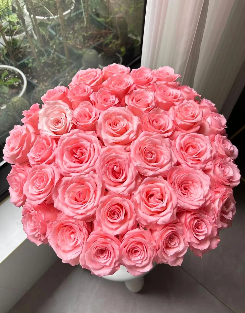 【陌上花开】20支装戴安娜-单头玫瑰（注意：带包装醒花哦~）