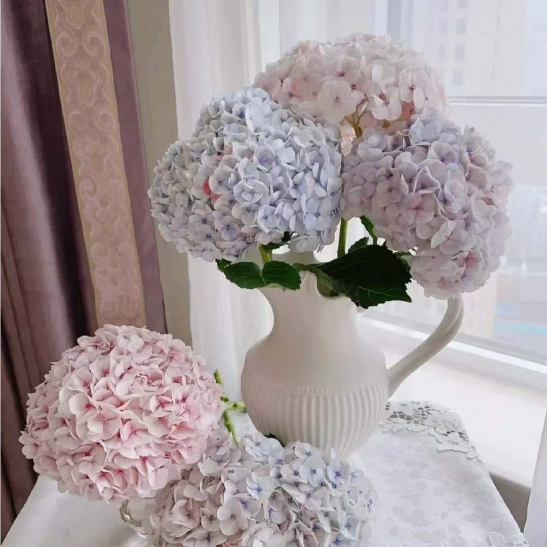 【陌上花开】3支装莫奈绣球-绣球（以直播间展示为主哦）