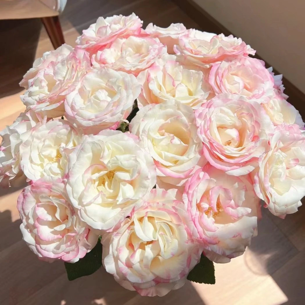 【陌上花开】20支单头霓裳-单头玫瑰