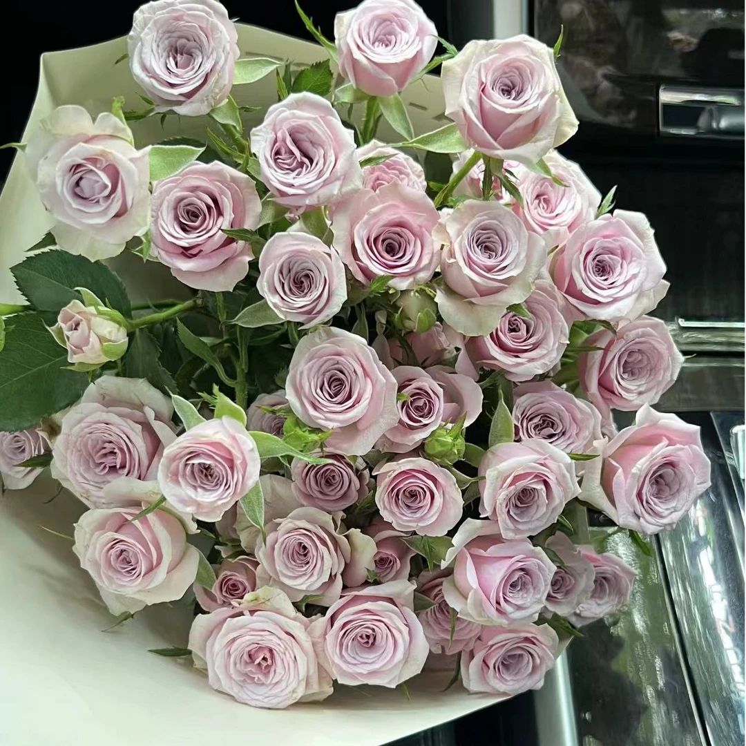 【陌上花开】莱拉-稀有多头玫瑰（收到请带包装醒花~）