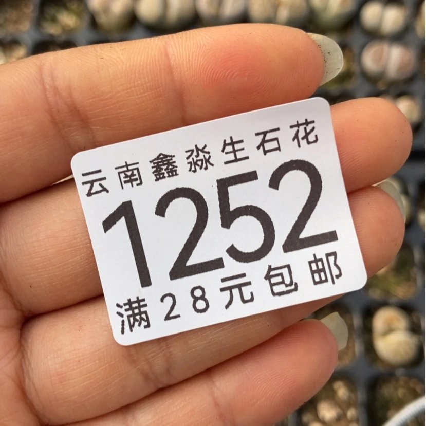 【闪购商品】星****?1252两颗